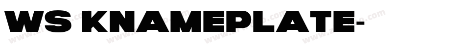 WS KnamePlate字体转换